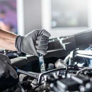 Oil Change & Maintenance